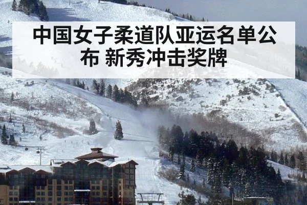 中国女子柔道队亚运名单公布 新秀冲击奖牌