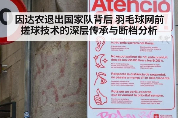 因达农退出国家队背后 羽毛球网前搓球技术的深层传承与断档分析